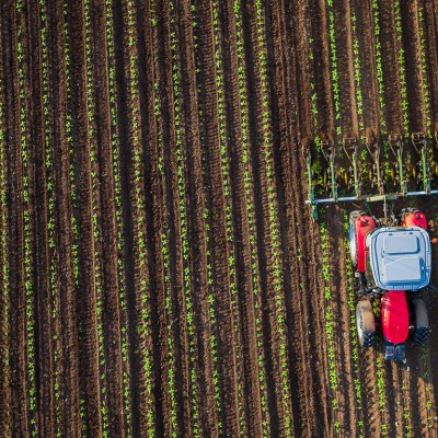 One research project aims to develop crop yield prediction systems using satellite data and biophysical crop modelling. iStockphoto